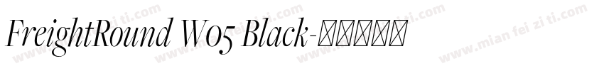 FreightRound W05 Black字体转换
